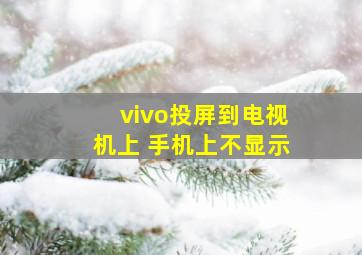 vivo投屏到电视机上 手机上不显示